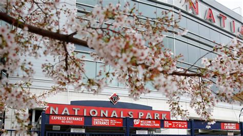 List of special Nationals events including Pups in the Park | wusa9.com