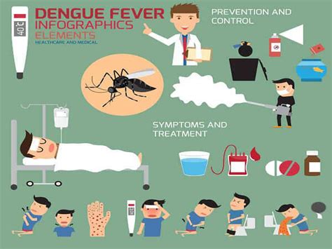 Dengue Symptoms Rash