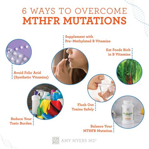 The MTHFR Mutation: What It Is and What To Do About It | Amy Myers MD