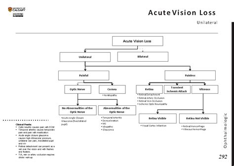 ACUTE VISION LOSS: Unilateral - Blackbook : Blackbook