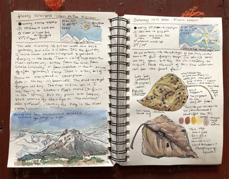 Nature Journaling — Kristin Link