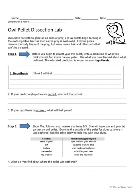 Owl Pellet Dissection Lab: English ESL worksheets pdf & doc