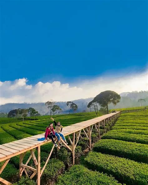 Wisata Taman Langit Pangalengan, Spot Kemah Keren di Bandung - PARAWISATA.ID