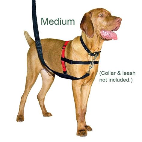 Halti Harness No Pull Harness, Multi functional and with Padding! – Pet ...