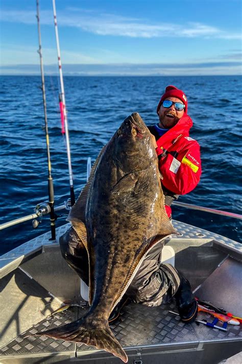 Saltstraumen Fishing Holiday | Bodo | Northern Norway