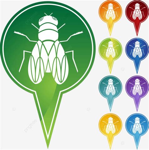 Fly Wing Gnat Wings Vector, Wing, Gnat, Wings PNG and Vector with ...