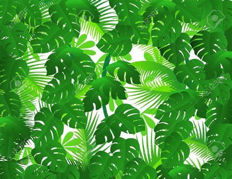 tropical rainforest clipart 20 free Cliparts | Download images on ...