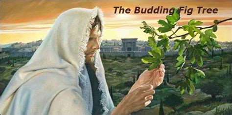 Word Of God: Parables of Jesus - The Budding Fig Tree