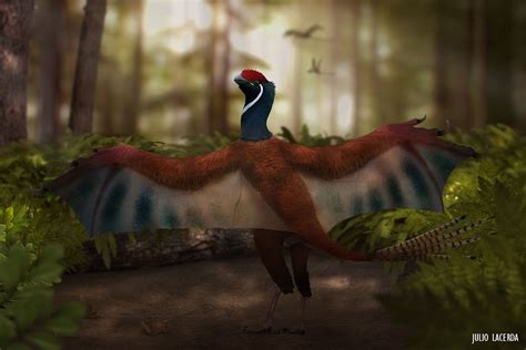 Meet Yi qi, the dinosaur with bat-like wings and | Earth Archives