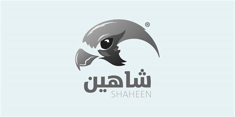 Shaheen Software Logo :: Behance