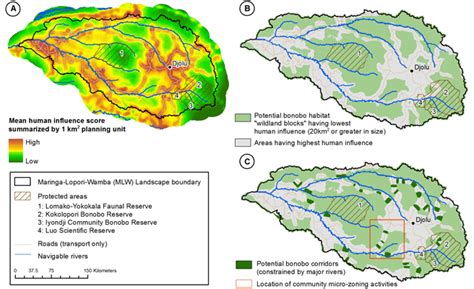 Strengthening bonobo conservation through satellite technology