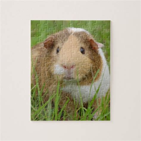 Cute Domestic Guinea Pig Jigsaw Puzzle | Zazzle.com