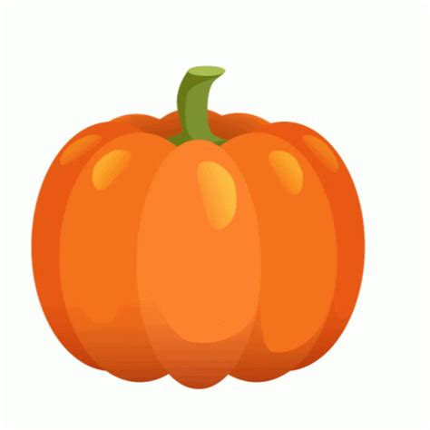 Pumpkin Pumpkin Vine GIF - Pumpkin Pumpkin Vine - Discover & Share GIFs