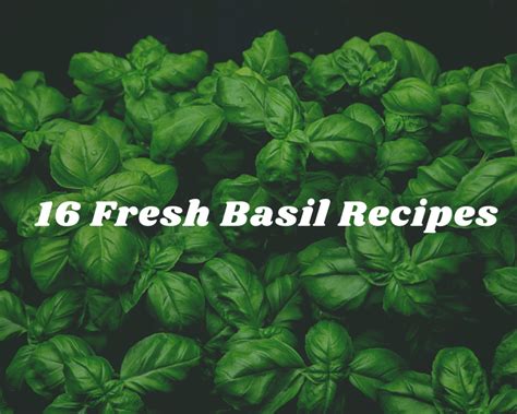 16 Fresh Basil Recipes - Just A Pinch Recipes