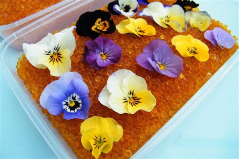 Using silica gel to dry flowers | Dried Flower Craft