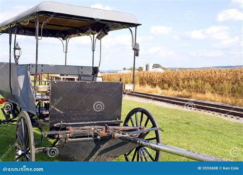 Amish Horse-drawn Buggy Royalty Free Stock Photos - Image: 3593608