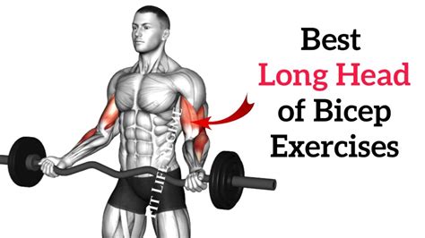 12 Best Long Head Bicep Exercises For Massive Peaks