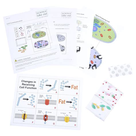 Cell Biology Lab Experiments | Science Take-Out | Hands-On Learning Kits