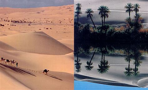 Sahara Desert Oasis Facts