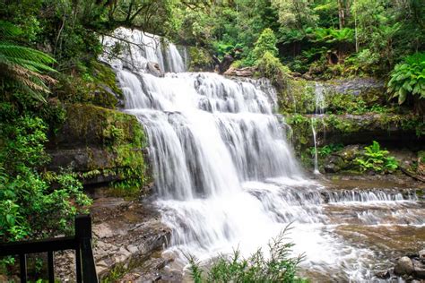 Are the Liffey Falls Tasmania's Most Beautiful Waterfall? - Travelsewhere