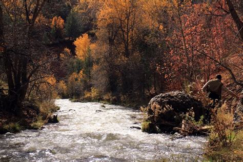 Your guide to fall fishing in northern Utah | News, Sports, Jobs - Standard-Examiner