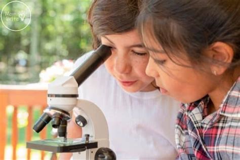 11 Best Microscopes for Kids: Reviews and Buying Guide (2024) | Mombrite