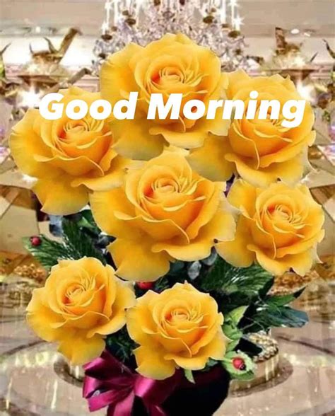 Good Morning Greeting With Yellow Roses Pictures, Photos, and Images ...