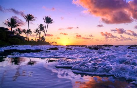 Sunrise Hawaii Stock Photos, Pictures & Royalty-Free Images - iStock