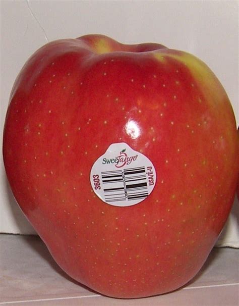 What is a SweeTango Apple Like? - Eat Like No One Else