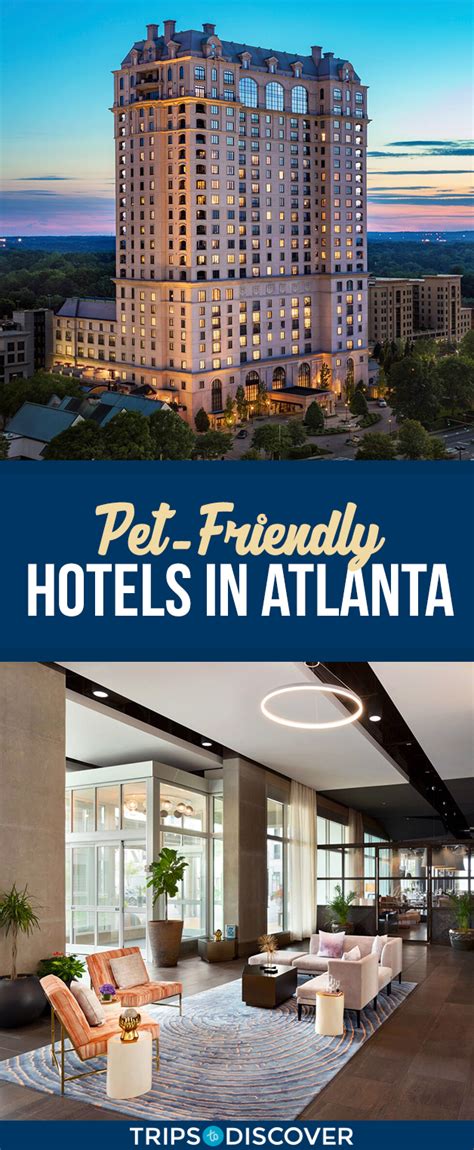 8 Pet-Friendly Hotels in Atlanta Your Pup Will Love in 2021 – Trips To Discover