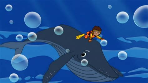 Diego and Baby Humpback to the Rescue – Go, Diego, Go! (Series 2, Episode 2) | Apple TV