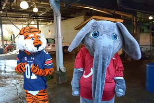 Aubie and Big Al | Aubie and Big Al share a moment under Jor… | Flickr