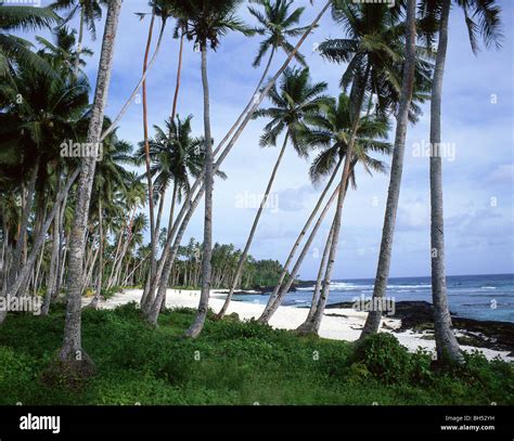 'Return to Paradise' Lefaga Beach, Upolu Island, Samoa Stock Photo - Alamy