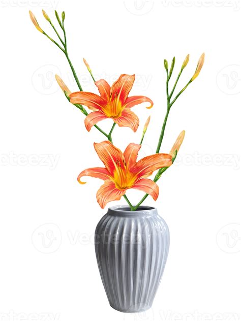 daylily bouquet in vase, lilies illustration 21302681 PNG