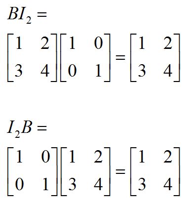 The identity matrix and its properties - MathBootCamps