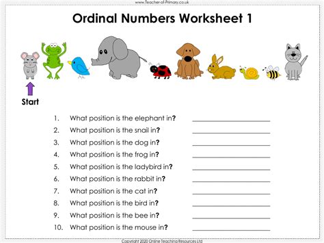 Ordinal Numbers - Worksheet | Math Kindergarten