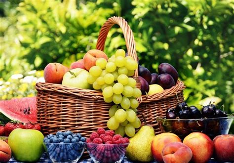 Fruits, Vegetables May Help Boost Mental Health - Science news - Tasnim News Agency