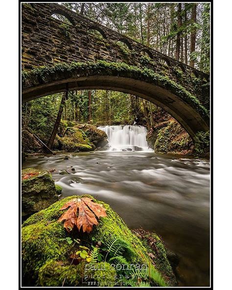 Water Under The Bridge - Whatcom Creek flows heavy over the falls at ...