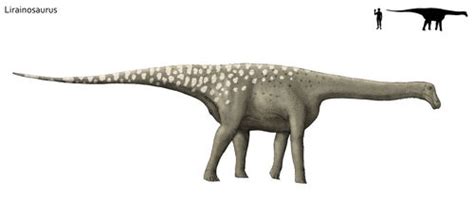 Lirainosaurus - Dinopedia - the free dinosaur encyclopedia