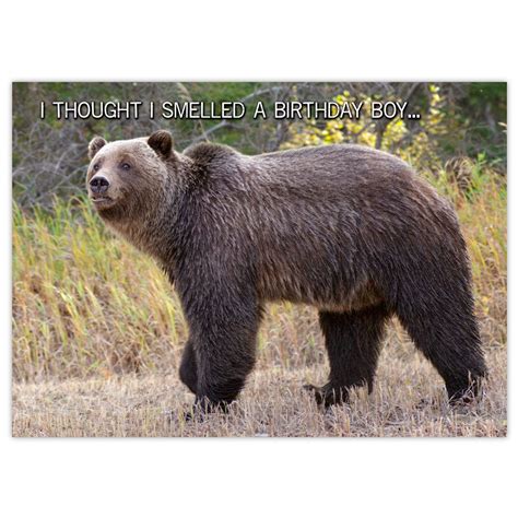 Grizzly Bear Birthday Card - DōnaBōna Cards