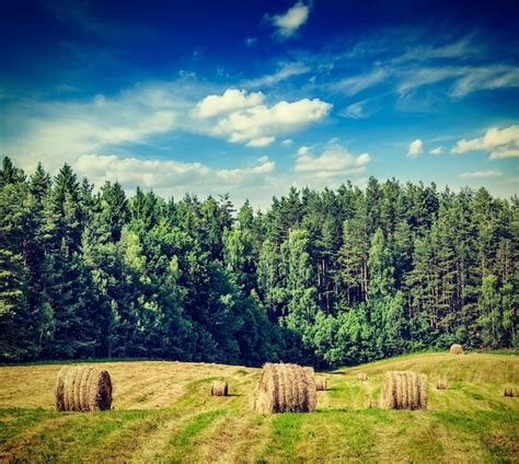 Premium Photo | Hay bales on field