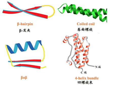 Tertiary Structure Of Protein - Solved: PART A The Tertiary Structure ...