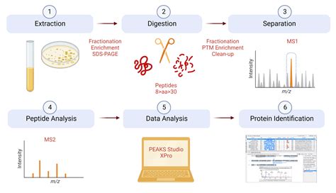 Protein ID info | Advanced Analysis Centre