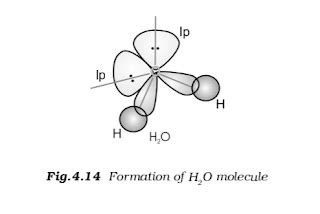 Hybridization