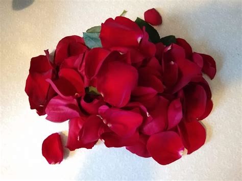 Aldi Valentine’s Day 12-Stem Rose Flower Bouquet | Aldi Reviewer