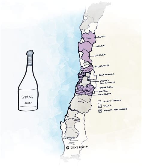 The Best Wines to Try From Chile | Wine Folly