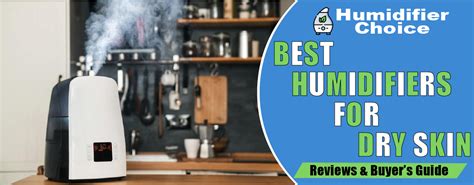 8 Best Humidifiers For Dry Skin Of 2024 - Humidifier Choice