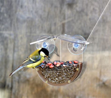 Window bird feeder suction cups Backyard bird watching | Etsy