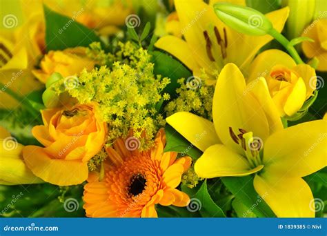 Yellow lilies bouquet stock image. Image of background - 1839385