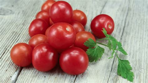 Husky Cherry Red Tomato Plant Care - The Gardener's Guide